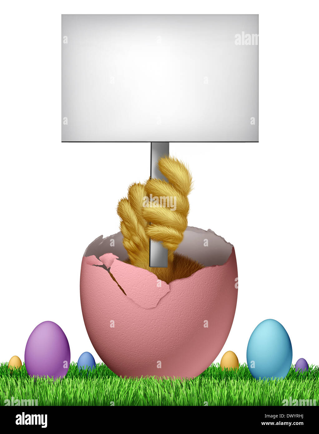Leere Zeichen Osterkarte mit einem Baby-Küken entstehen aus einem gebrochenen rosa Ei mit einem Flügel hält einen weiße Karte Banner als Spaß Frühjahr Symbol der Feier Urlaub und als eine Werbung marketing Botschaft. Stockfoto