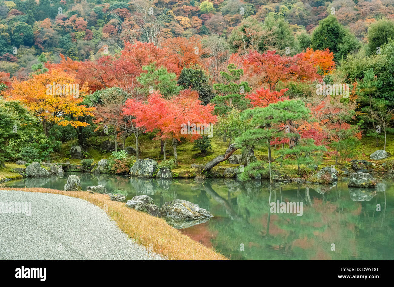 Herbst-Blick auf japanischen Garten, Kyoto, Japan Stockfoto