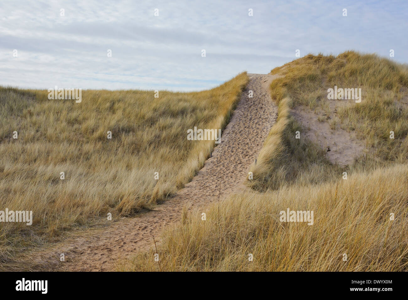 Sanddünen am hinter Bay, East Lothian, Schottland. Stockfoto