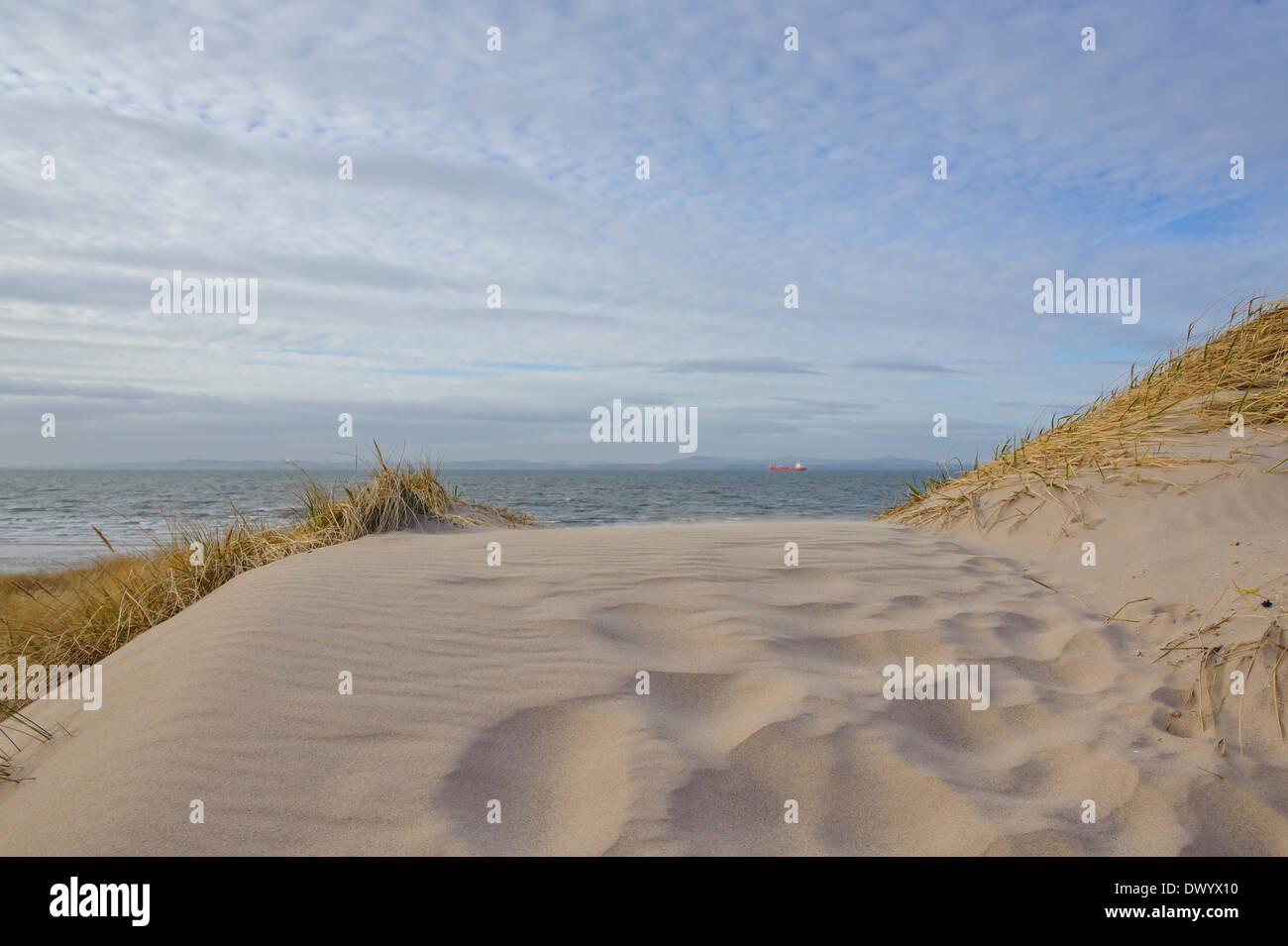 Sanddünen am hinter Bay, East Lothian, Schottland. Blick auf den Firth of Forth. Stockfoto