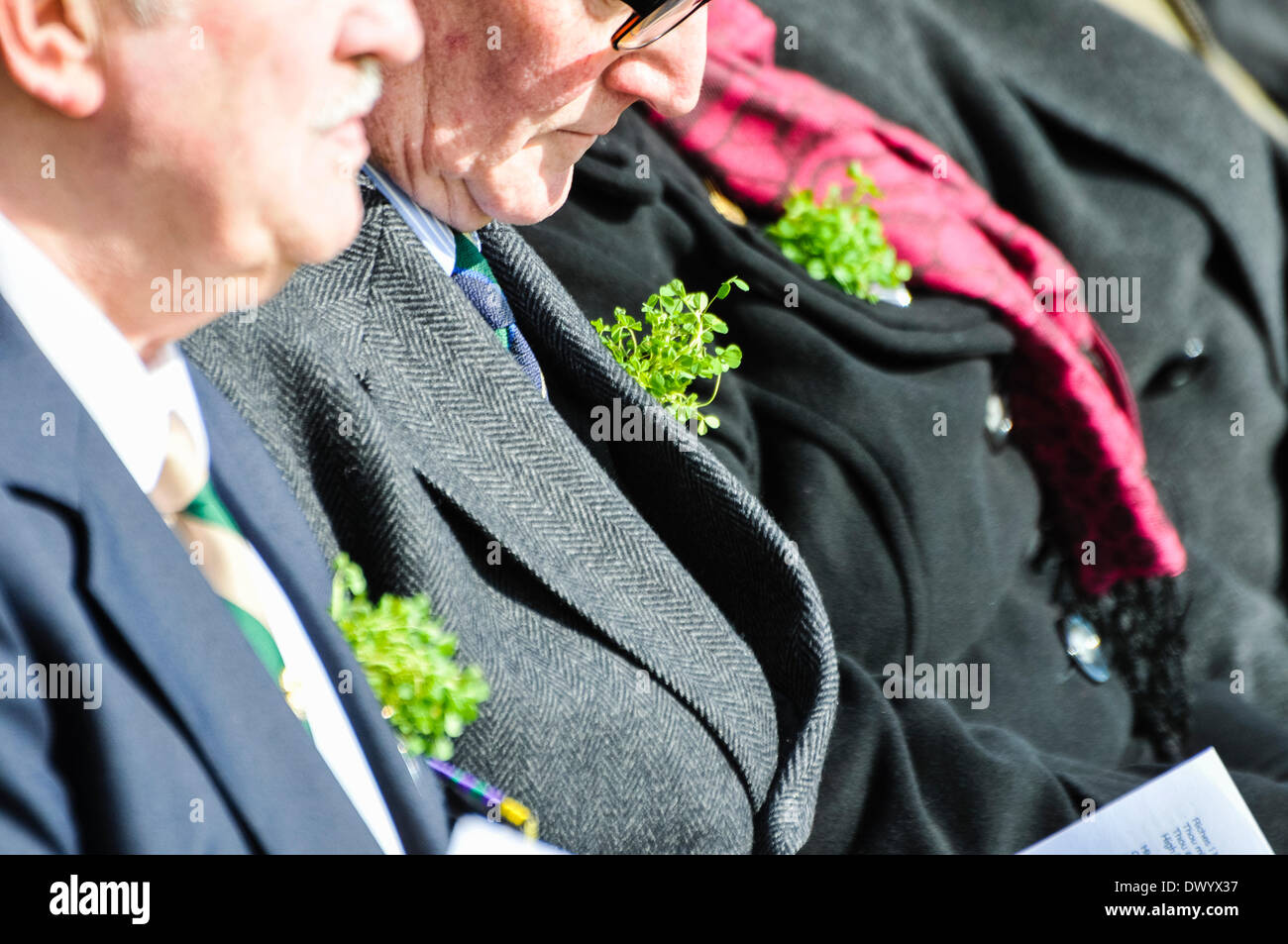 Menschen tragen Zweige der Shamrock am Revers Stockfoto