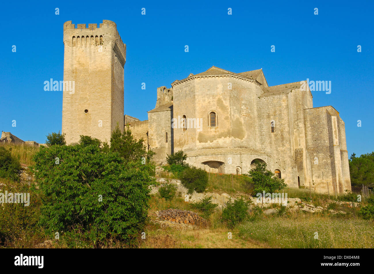 Montmajour Abtei, Arles Stockfoto
