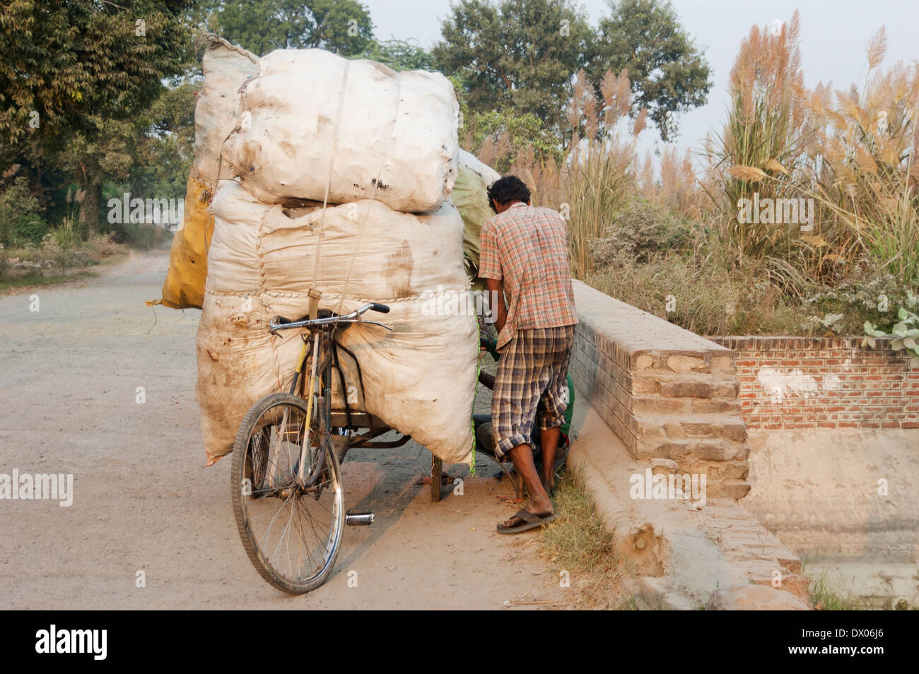 Indische ländlichen arbeiten Stockfoto