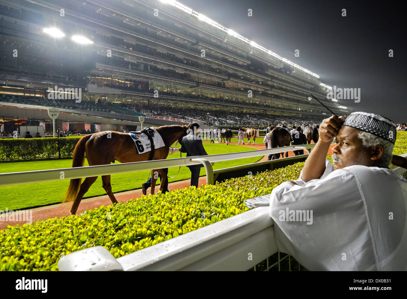 Parade-Ring am Pferd Rennen treffen auf Al Meydan Racecourse in der Nacht in Dubai Vereinigte Arabische Emirate Stockfoto