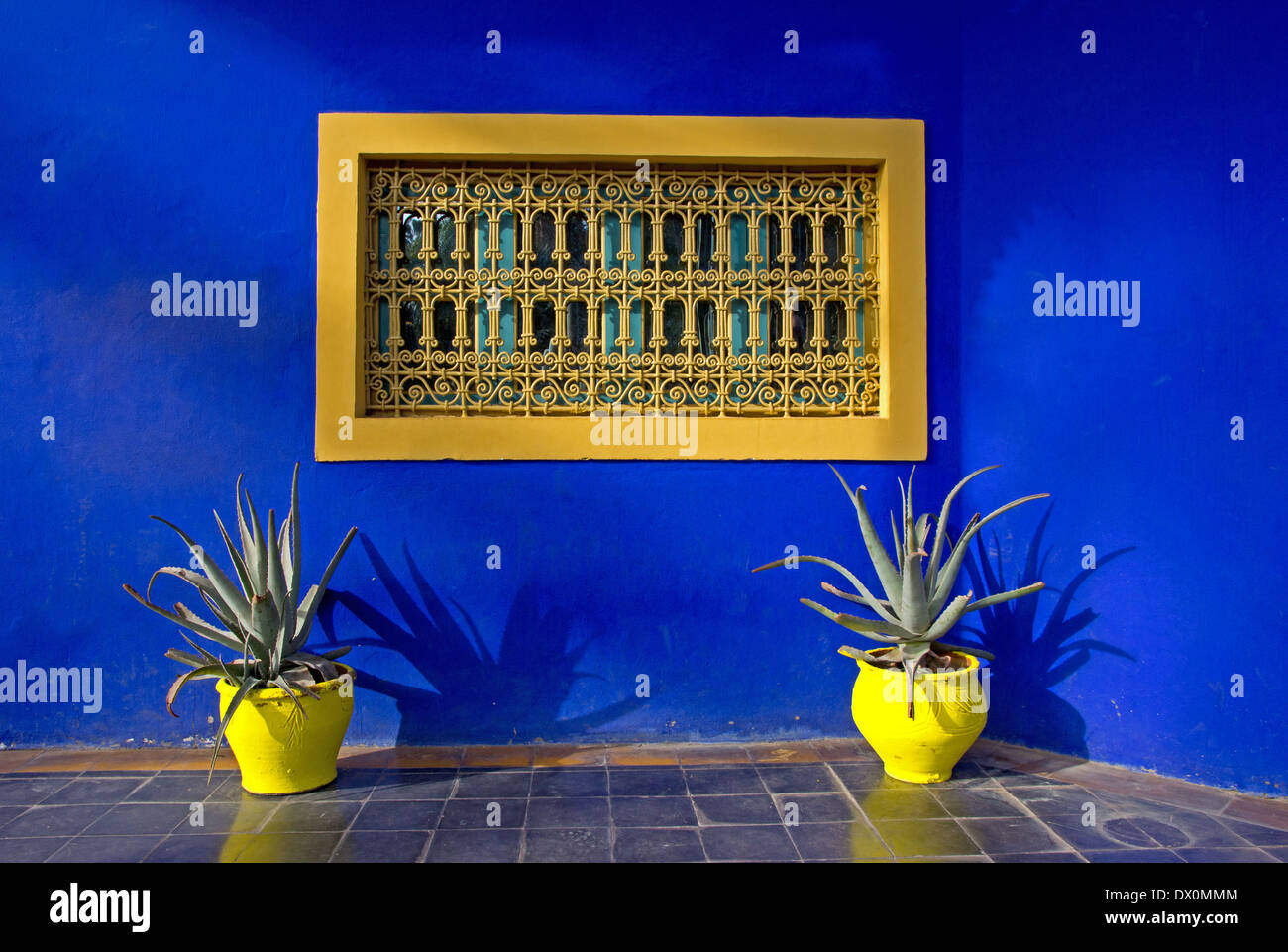 Fenster, Töpfe und Kakteen in Majorelle Gärten, Marrakesch, Marokko Stockfoto