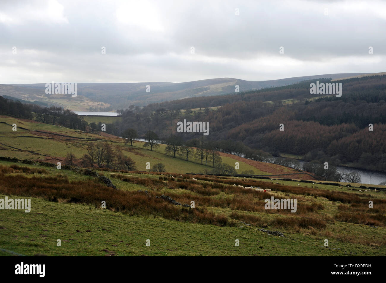Mit Blick auf die Goyt Valley und Behälter in die High Peak District in der Nähe von Buxton Derbyshire UK Stockfoto