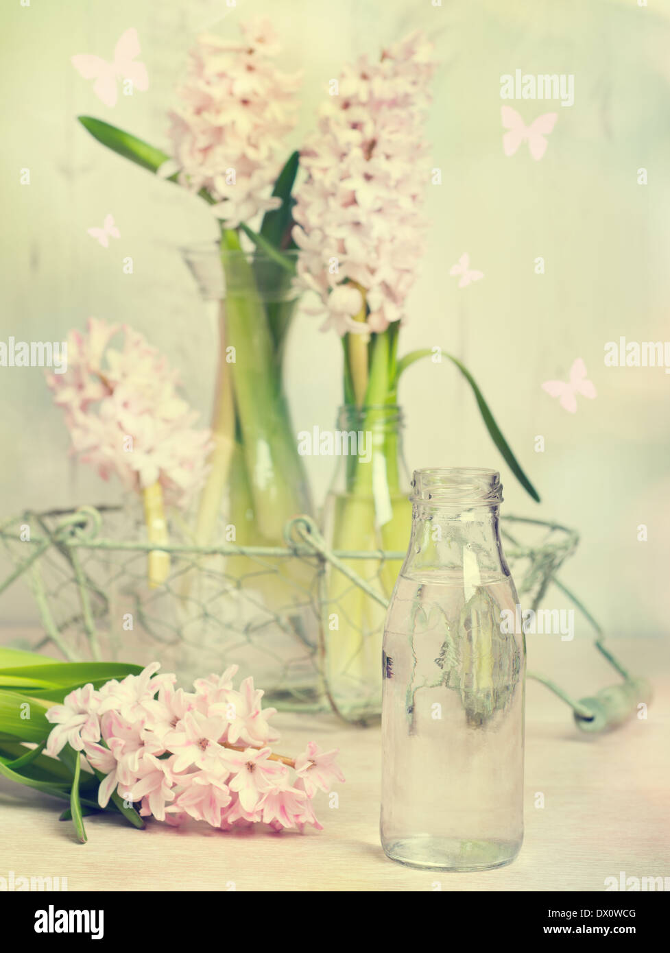 Frühling Hyazinthen mit Fokus auf Glasflasche gefüllt mit Wasser bereit, Blumen - arrangieren Vintage-Ton-Effekt hinzugefügt Stockfoto