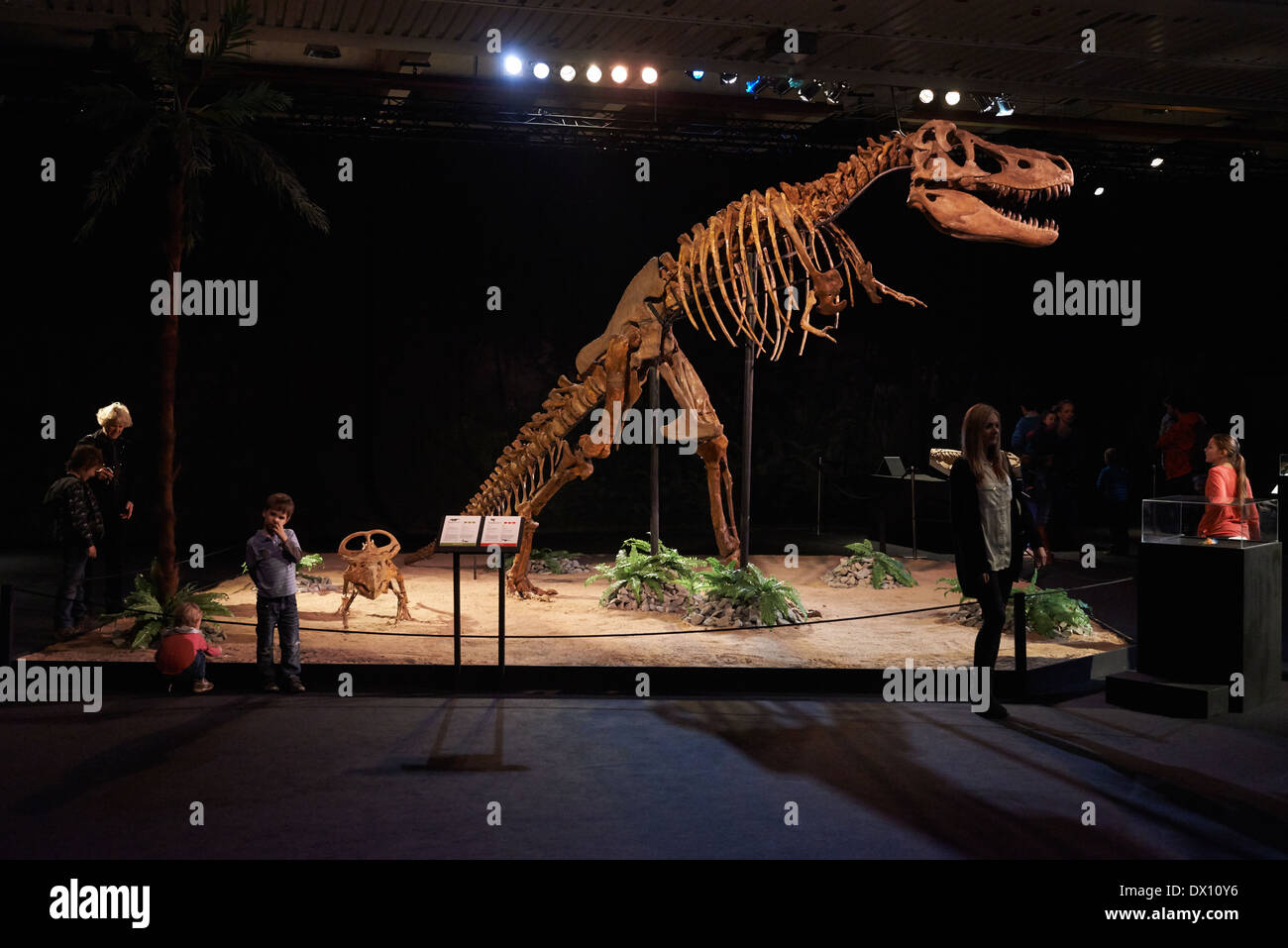 Dinosaurier im Museum, Ausstellung, Dinosaurium Prag Stockfoto