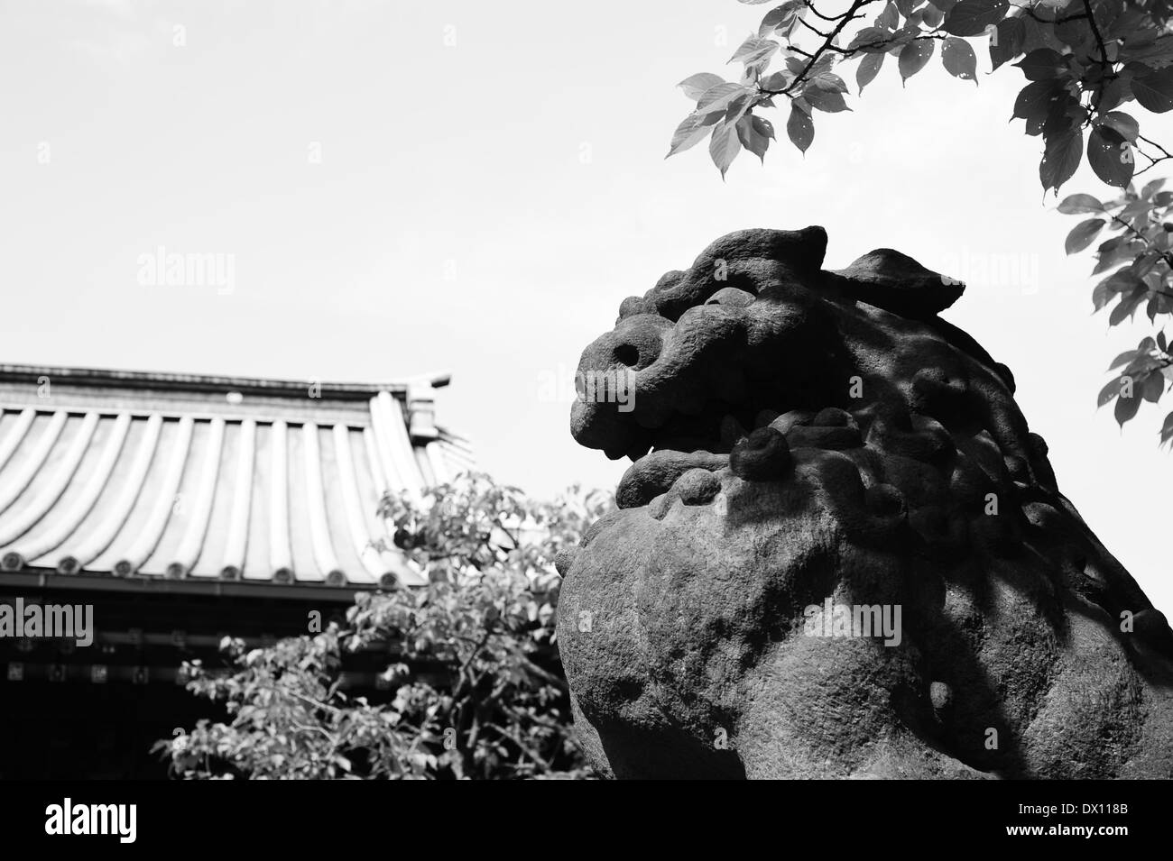 Komainu Statue am Nezu Schrein, Tokyo, Japan Stockfoto