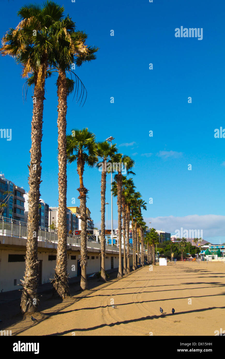 Playa de Las Alcaravaneras Strand, Las Palmas de Gran Canaria, Kanarische Inseln, Spanien, Europa Stockfoto