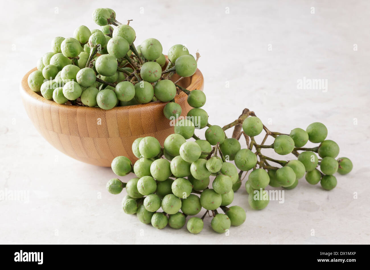 Solanum Torvum, Türkei Berry, Erbse Auberginen Stockfoto