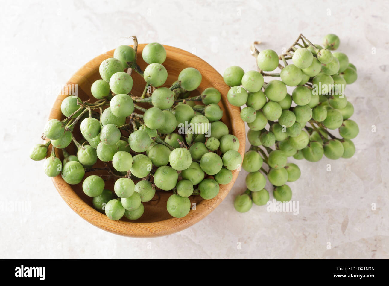 Solanum Torvum, Türkei Berry, Erbse Auberginen Stockfoto
