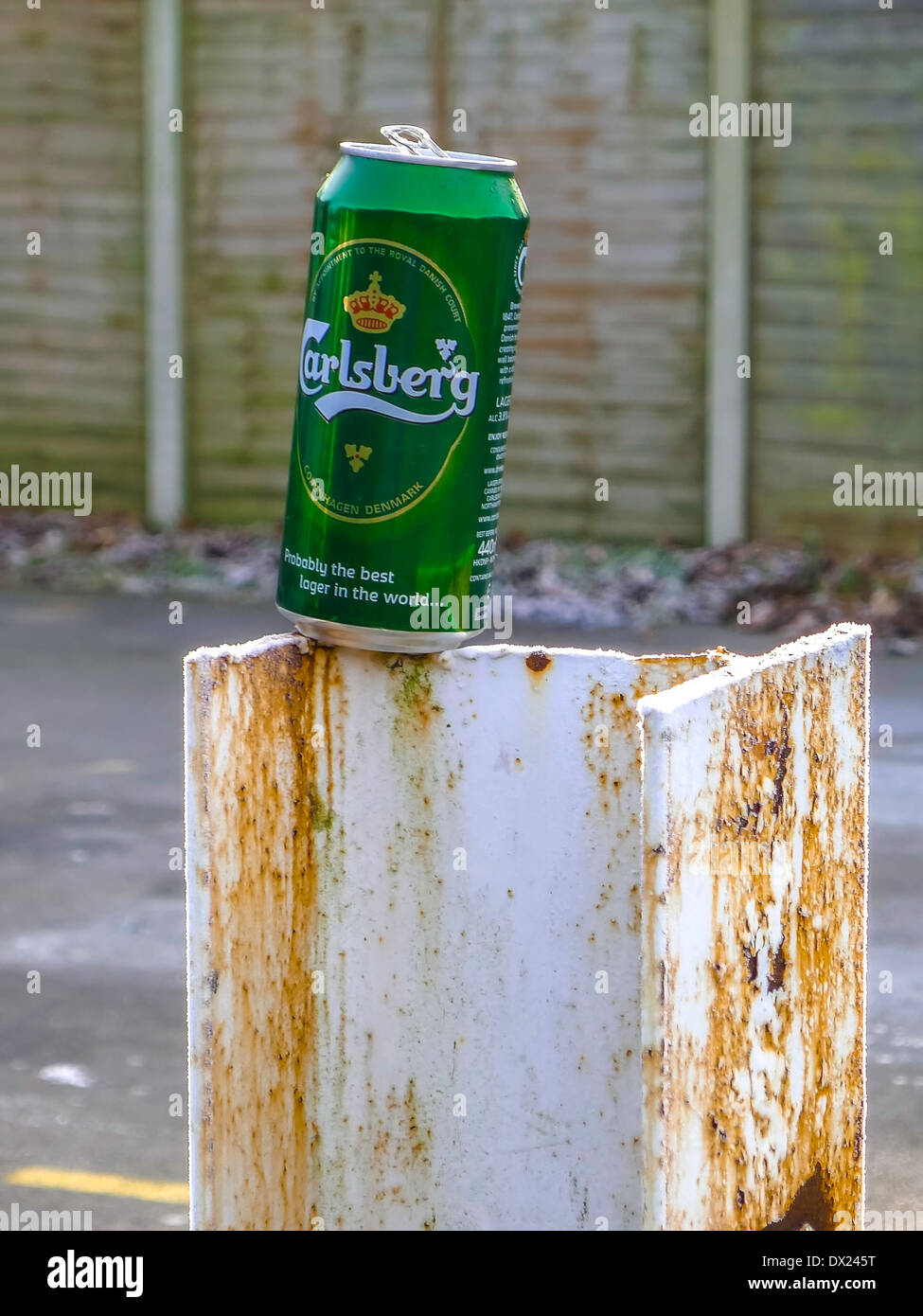 Carlsberg Bier Stockfoto