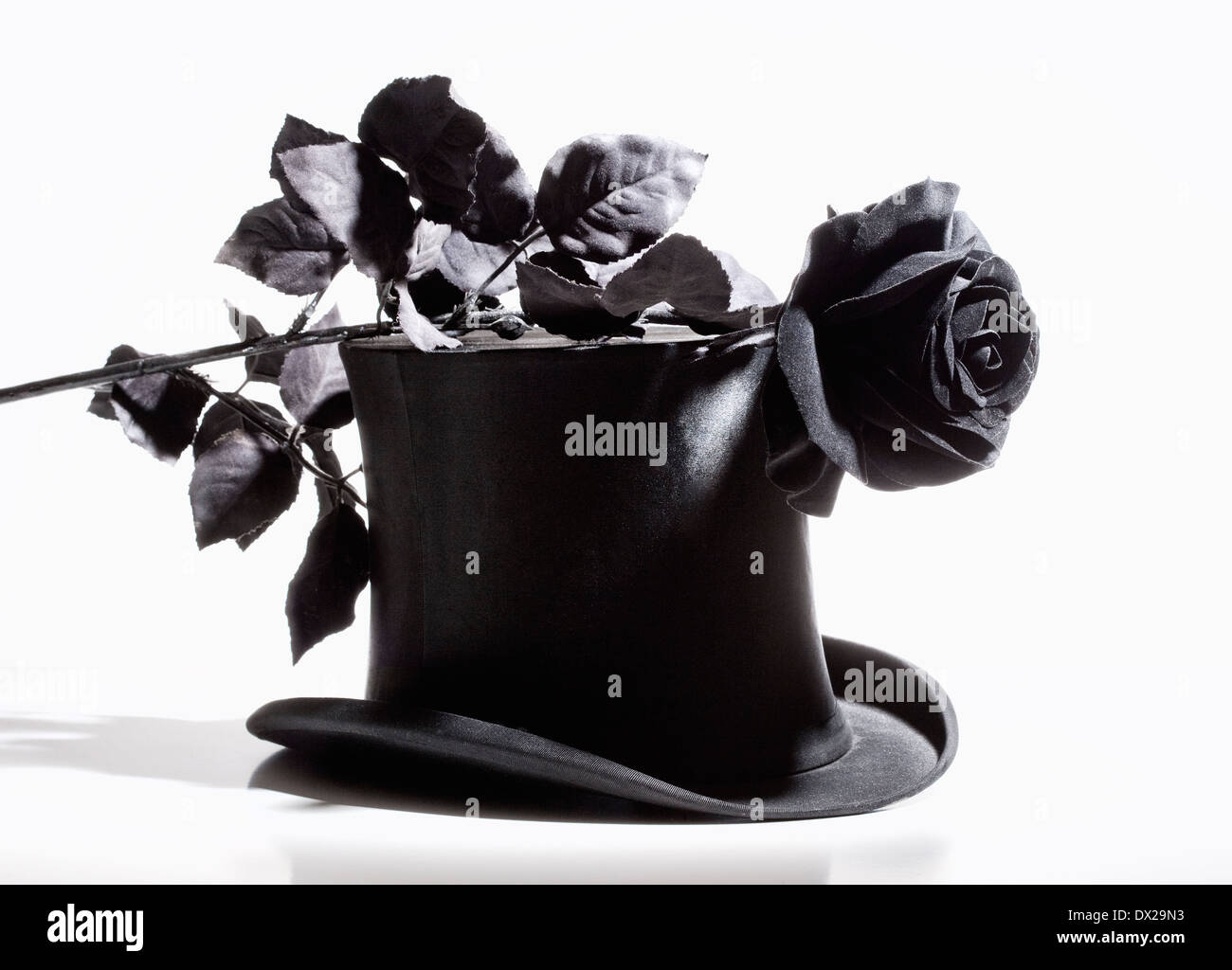 Schwarzer Hut und Black Rose - Isolated on White Stockfoto
