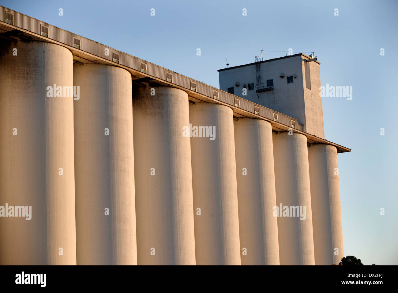 Lagerung von Getreidesilos Stockfoto