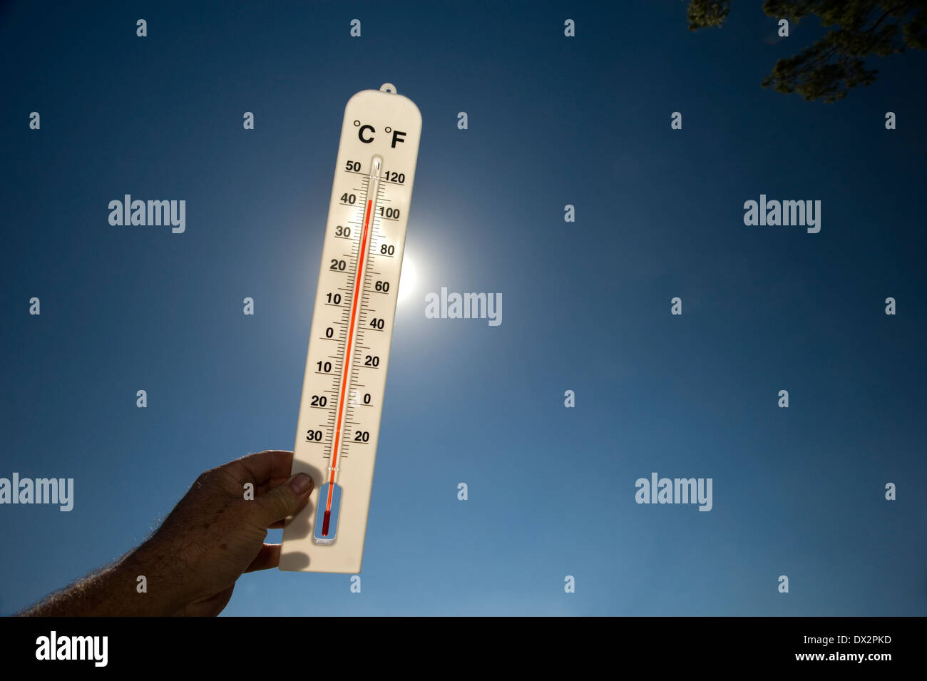 heißer Tag Wärme Sonne glühend Thermometer 40 Grad Stockfoto