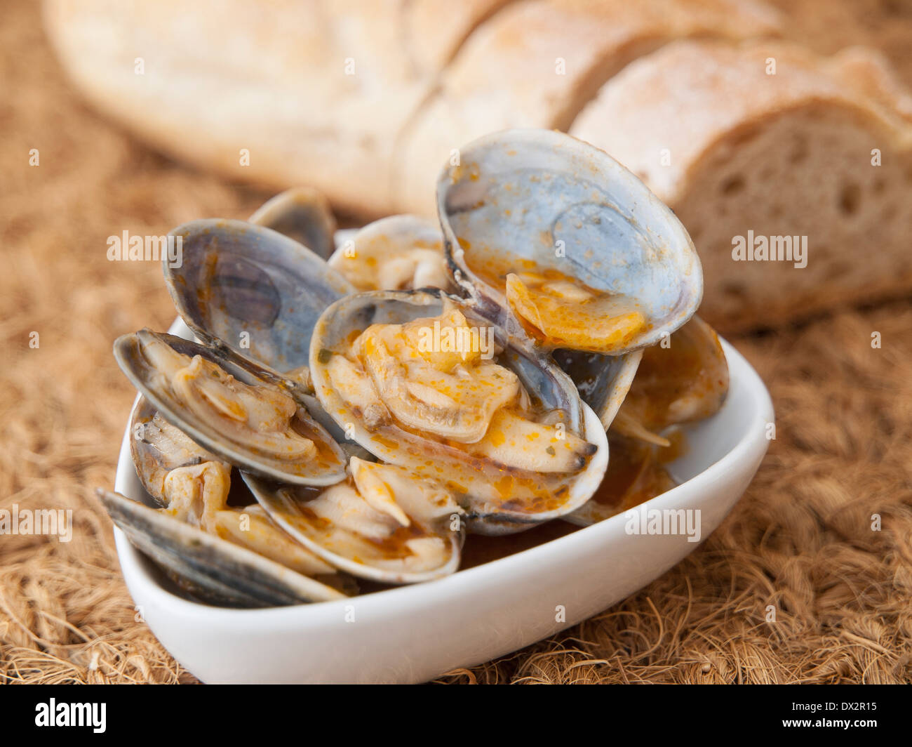 Muscheln muschel -Fotos und -Bildmaterial in hoher Auflösung – Alamy
