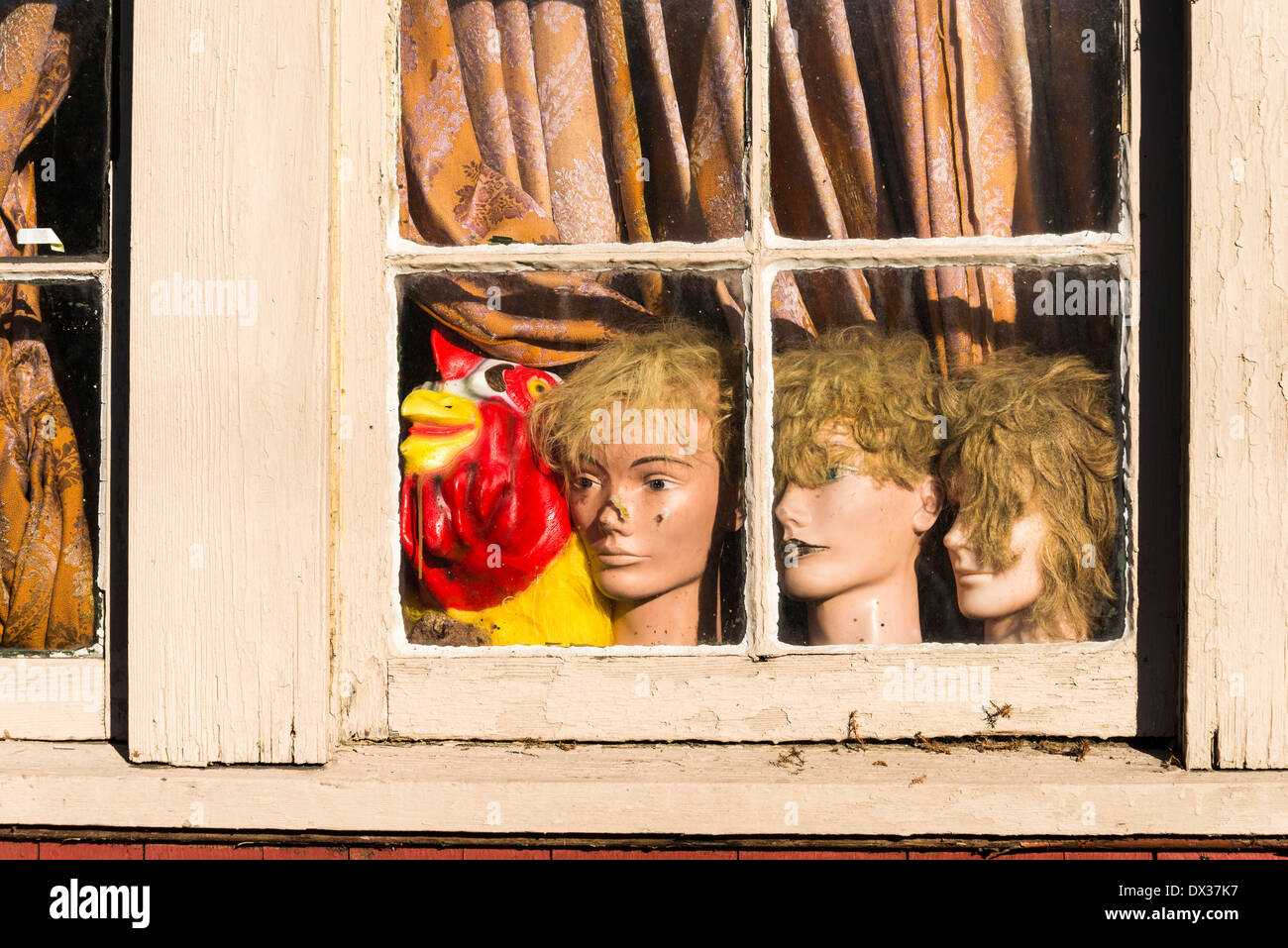 COHEALI Schaufensterpuppe Fußmodell - 2 Stück Weibliche Fußformen Für Socken Und Schmuck