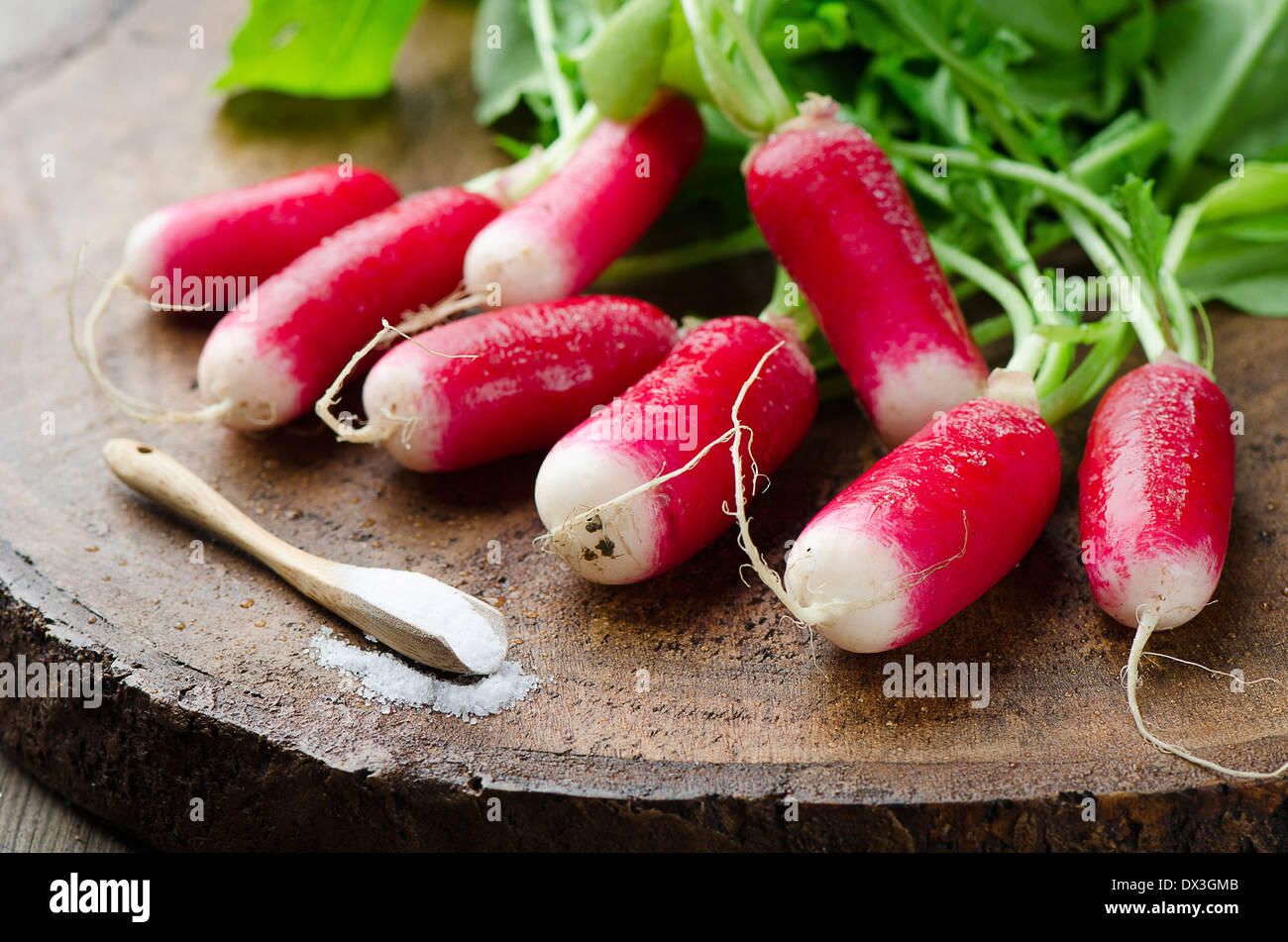 Frische Radieschen auf einem Holzbrett Stockfoto