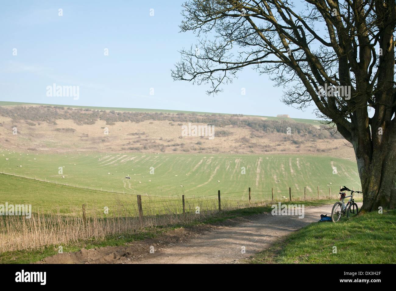 Drücken Sie Fahrrad gelehnt auf einem Baum an der Seite eines Landes-Tracks. Die offene Felder und Downland jenseits gesehen. Stockfoto