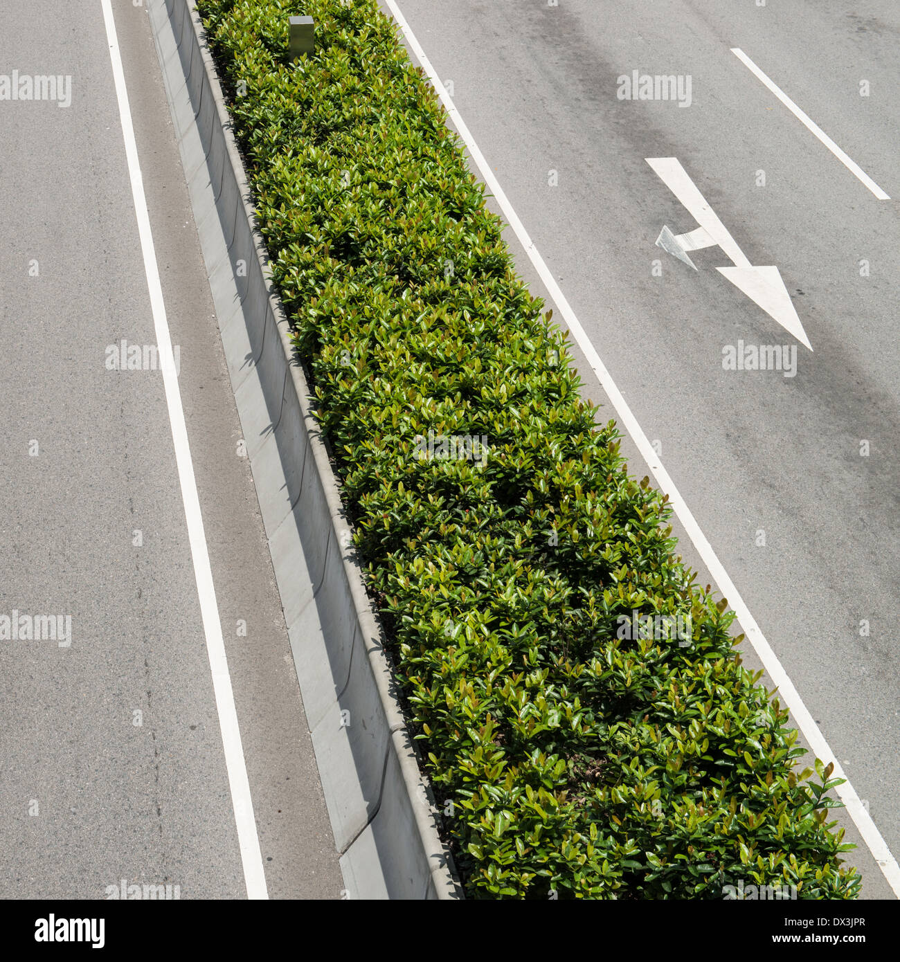 Grünanlagen in der Straße Stockfoto