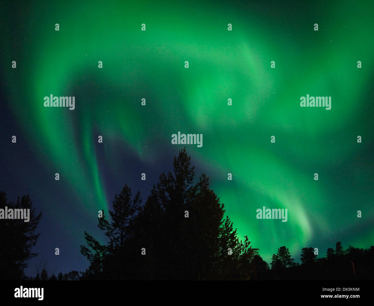 Nordlicht, Aurora Borealis, Karasjok, Finnmark, Norwegen Stockfoto