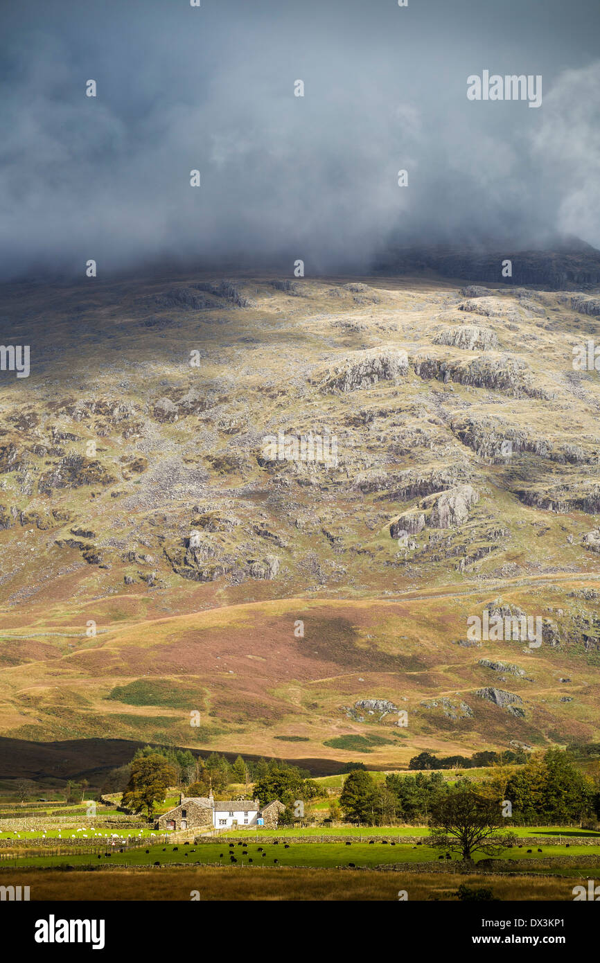 Niedrige Wolke über Ulpha fiel, Cumbria. Stockfoto