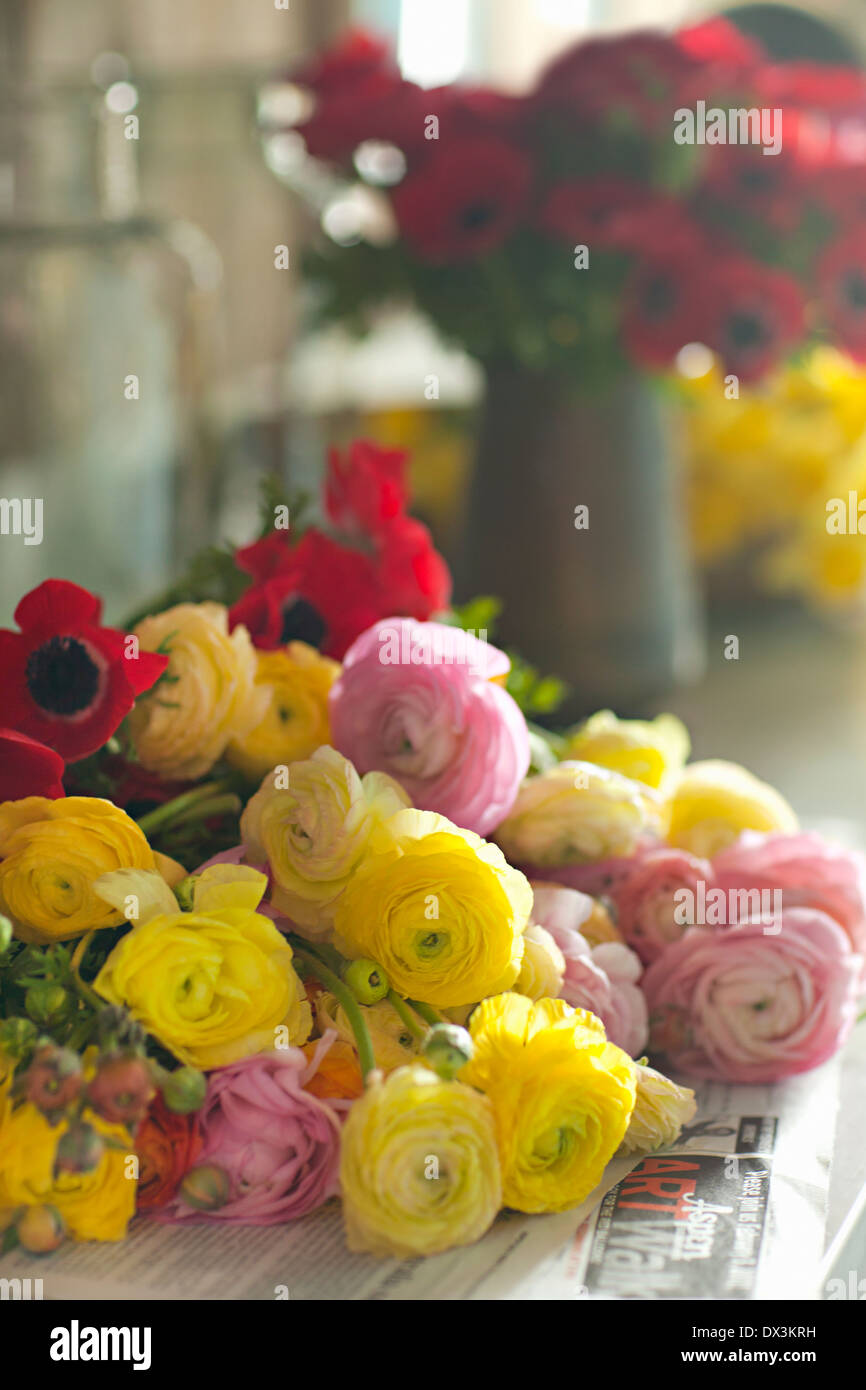 Multicolor Ranunkeln Blumen Haufen auf Zeitungspapier, Nahaufnahme Stockfoto