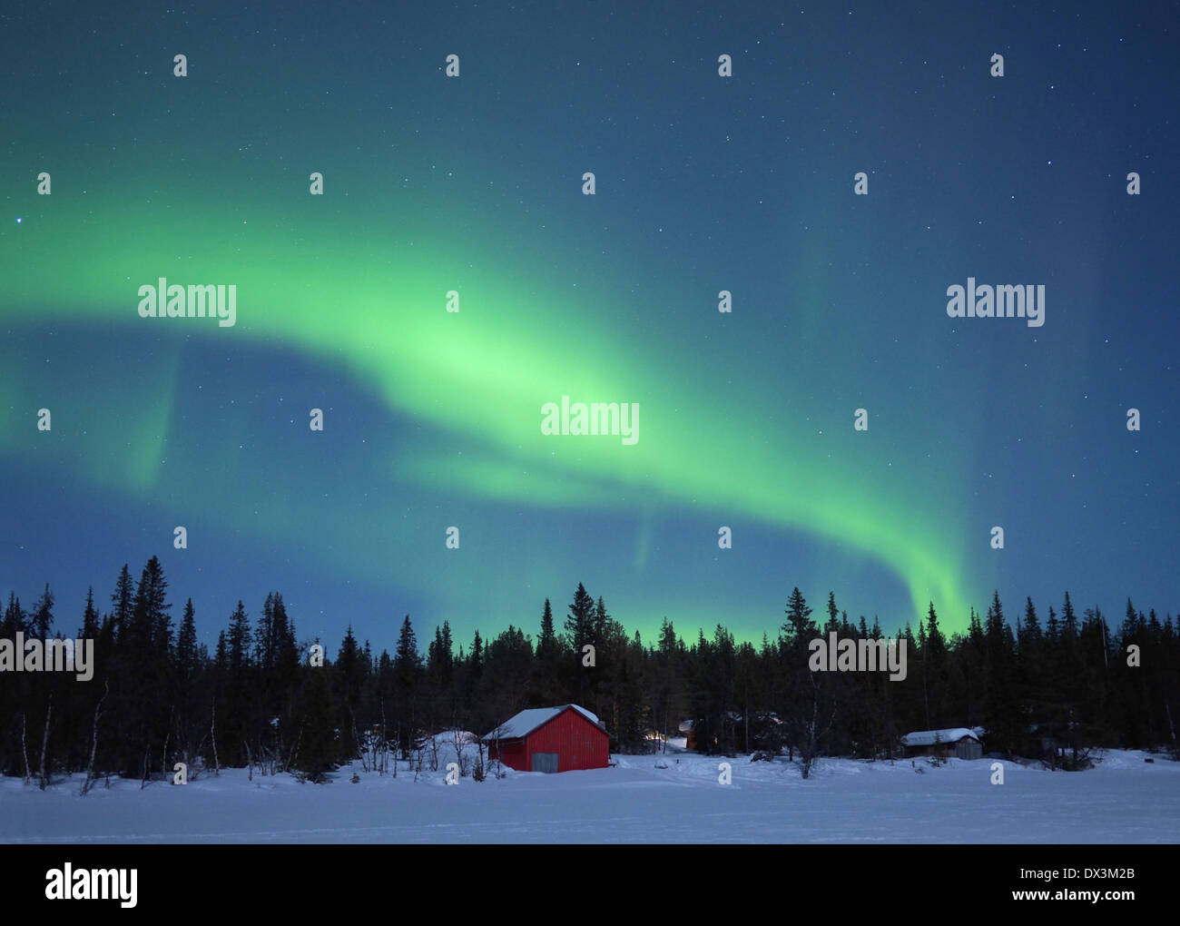 Nordlicht, Kiruna, Norrbottens Län, Lappland, Schweden Stockfoto