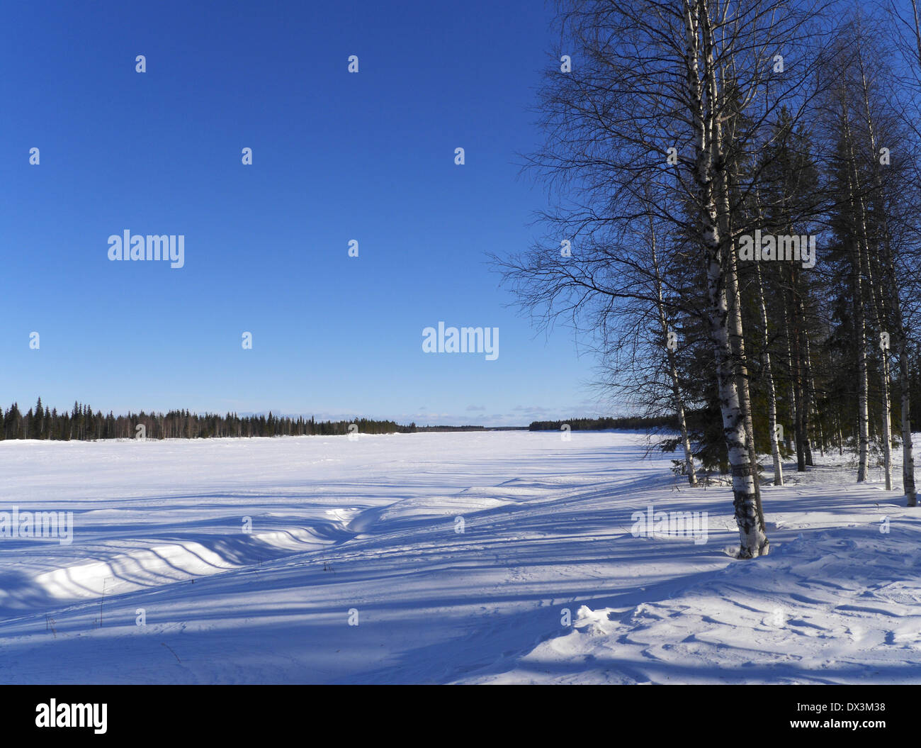 Torne Älv, Grenze zwischen Schweden und Finnland, Norrbottens Län, Lappland, Schweden Stockfoto