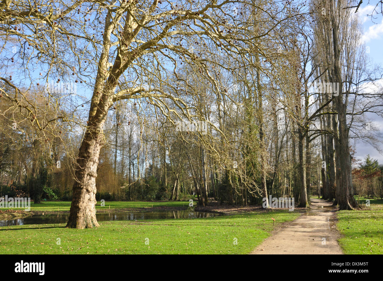 Gartenweg auf dem Grundstück des Herrenhaus Clos Lucé, Amboise, der letzte Wohnsitz des Leonardo da Vinci. Stockfoto