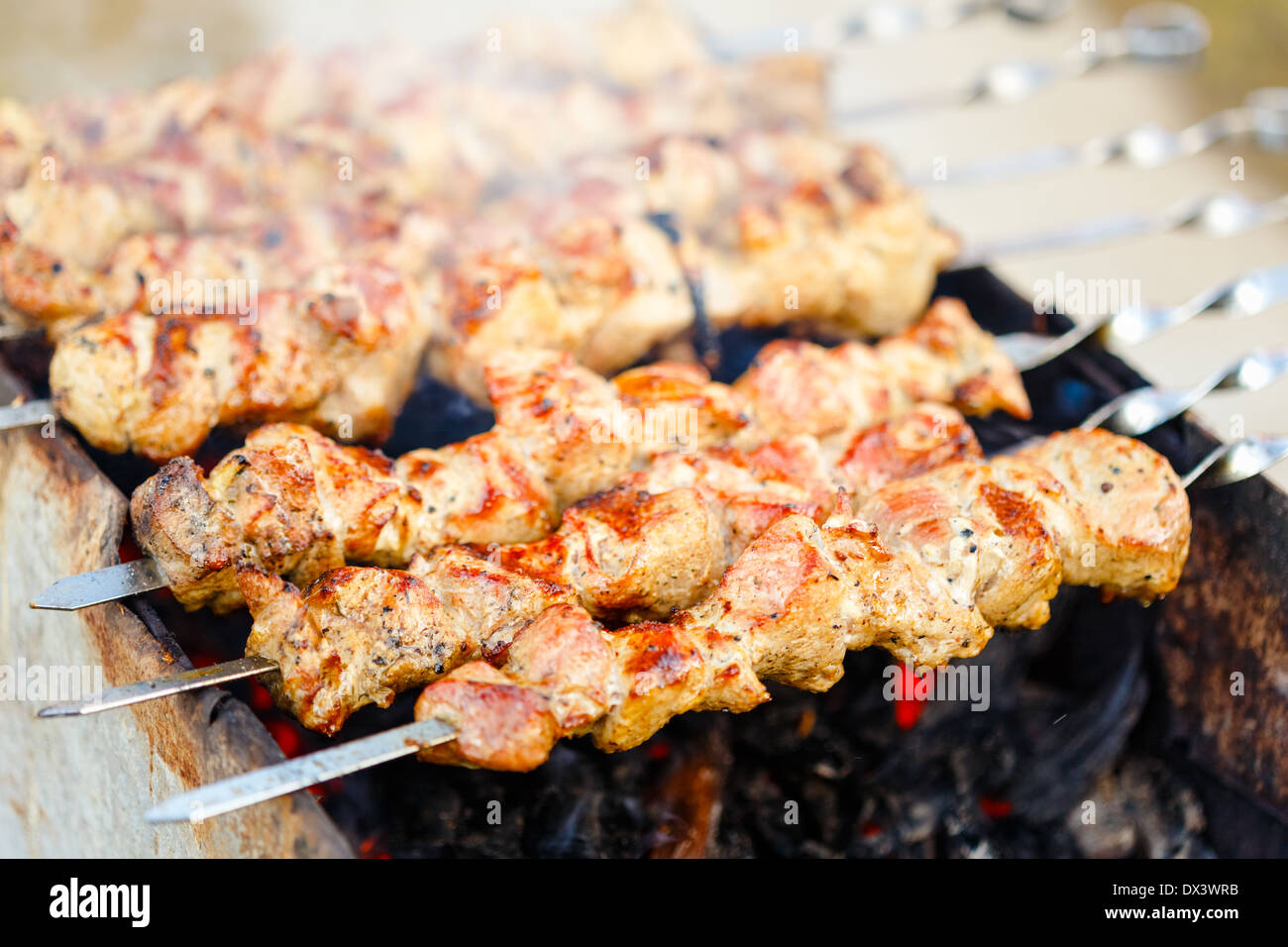 Gegrilltes mariniertes Kaukasus Grill Fleisch Schaschlik (Schaschlik ...