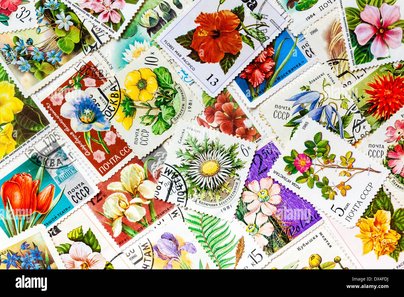 Moskau, Russland – 8. Januar 2014: Briefmarken gedruckt in der UdSSR, vereint durch ein Thema - "Blumen", arrangiert Hintergrund Stockfoto