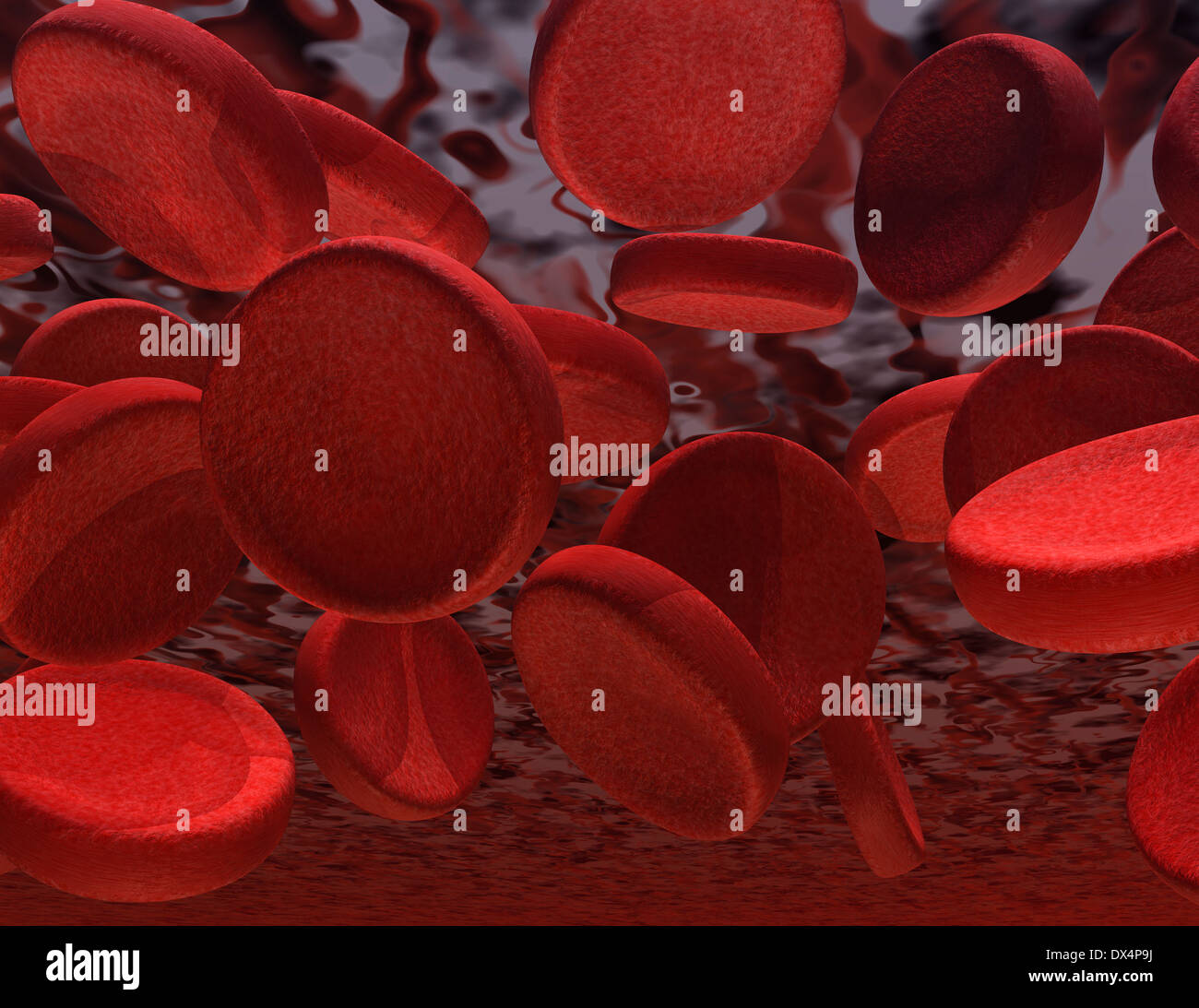 digitale Darstellung der Blutkörperchen Stockfoto