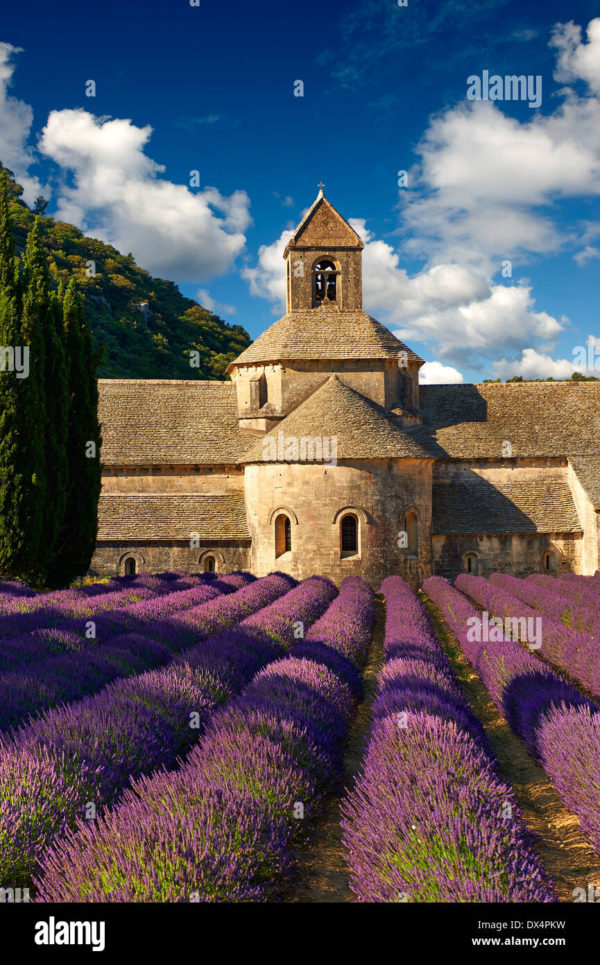 Romanische Abtei von Notre Dame von Senanque mit blühenden Lavendel Feld, Gordes, Frankreich. Stockfoto