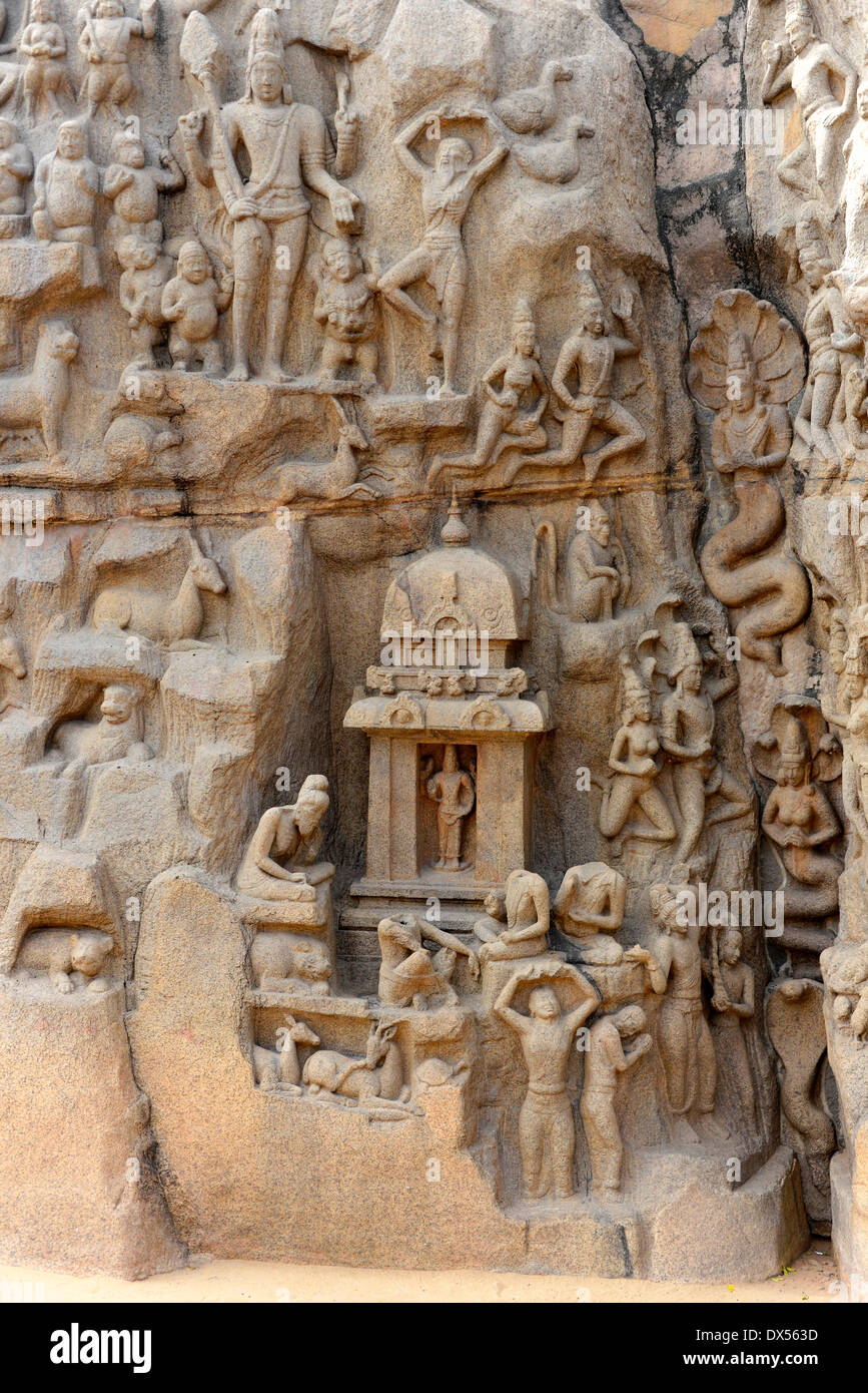 Herabkunft des Ganges, Flachrelief, detail, Mamallapuram, Tamil Nadu, Indien Stockfoto