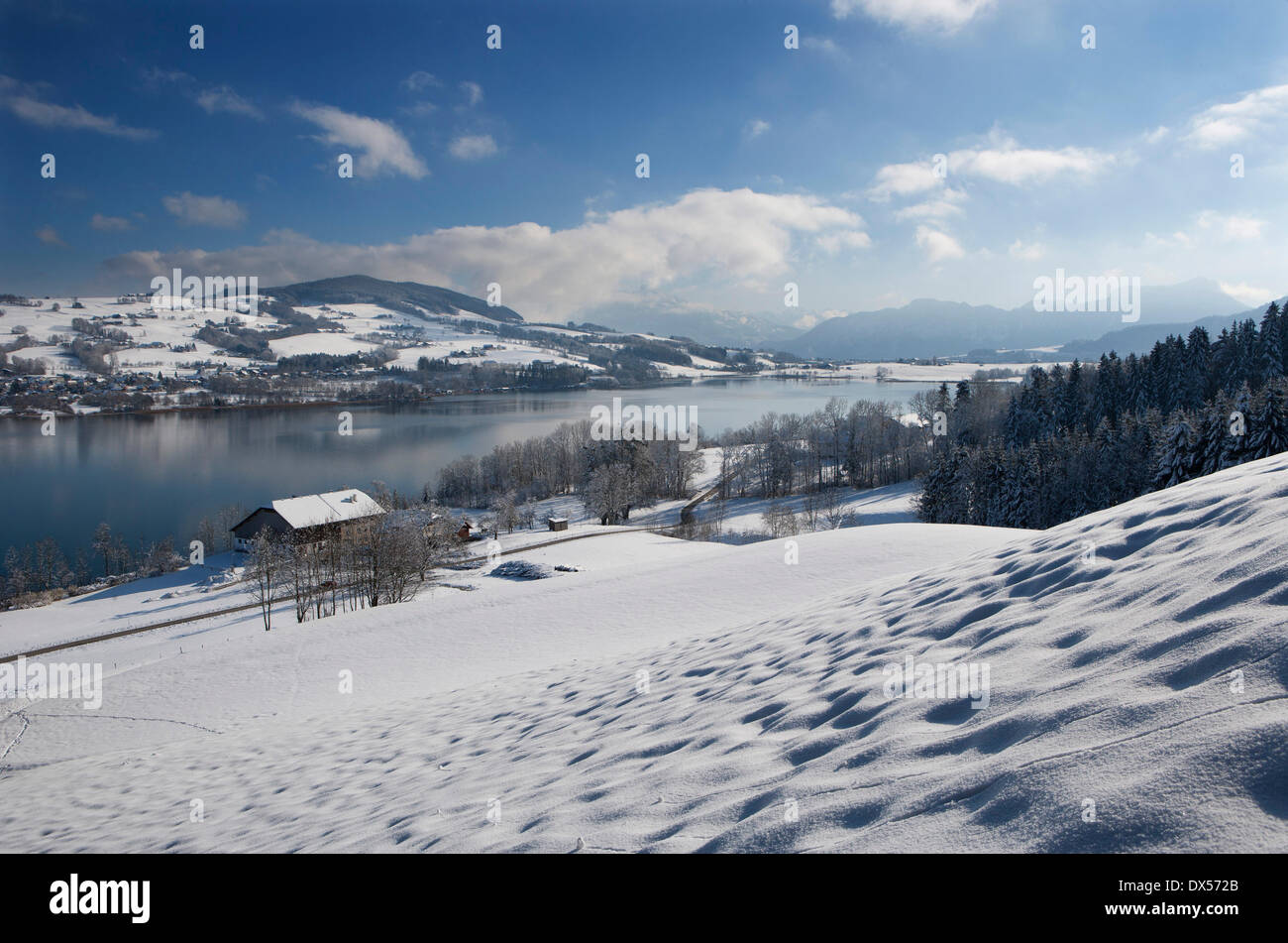 Winterlandschaft, See Irrsee, Zell am Moos, Salzkammergut, Österreich Stockfoto