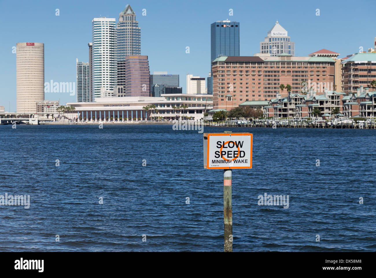 Skyline von Downtown und Hillsborough River, Tampa, FL, USA Stockfoto