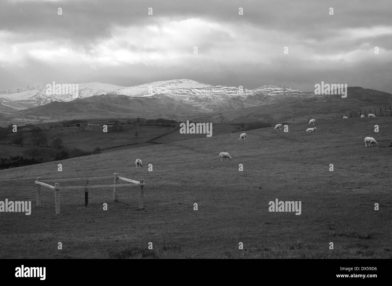 Schneebedeckte Berge Nord-Wales Stockfoto