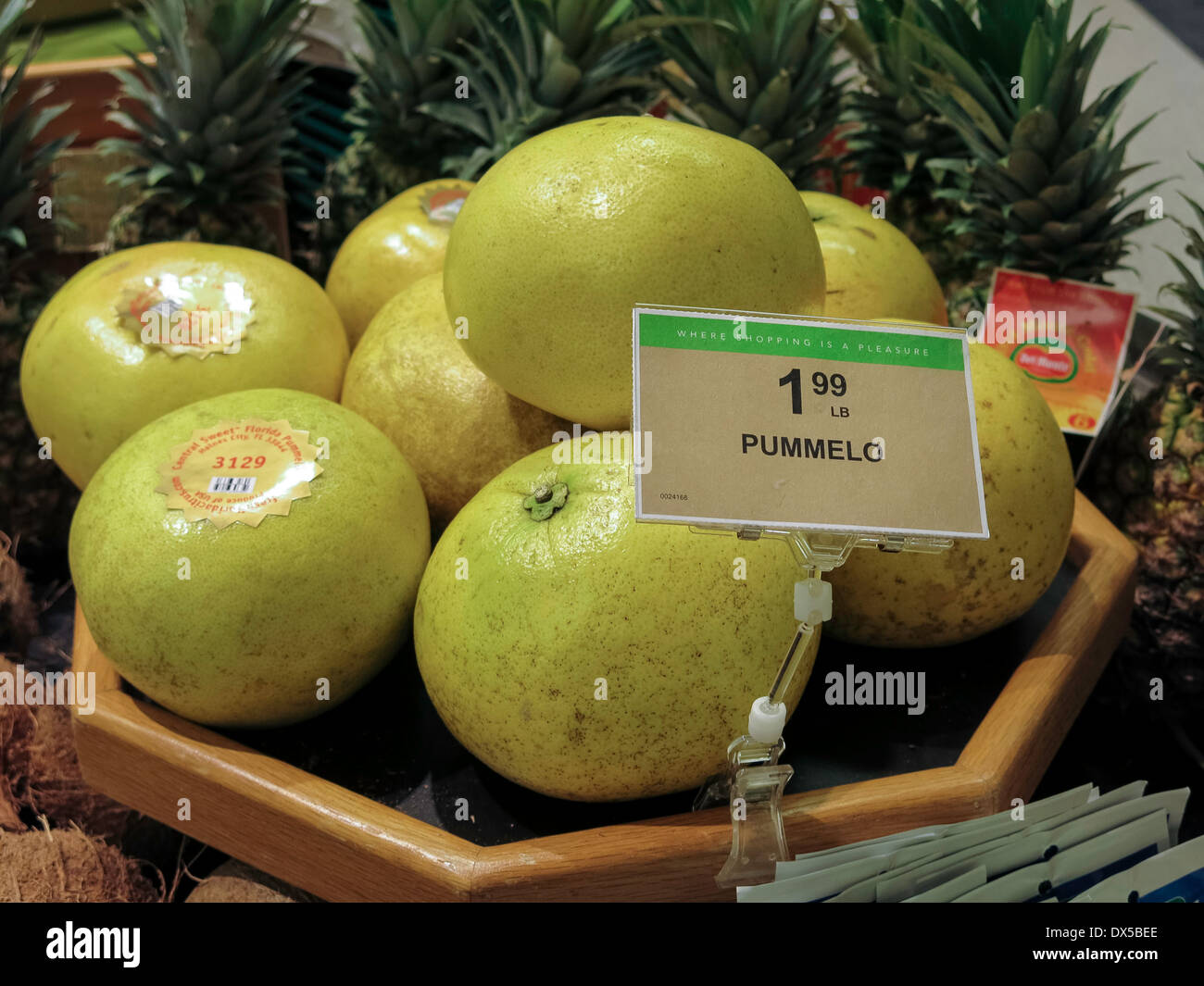 Pummelo Display, frisch produzieren Abschnitt, Publix Supermarkt in Flagler Beach, Florida Stockfoto