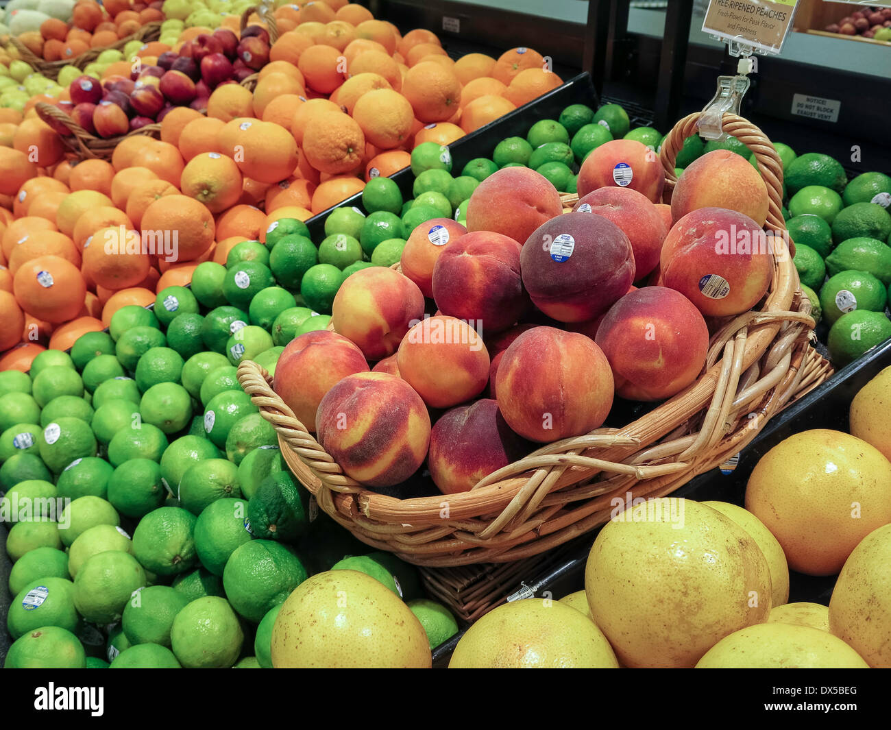 Pfirsiche und Zitrusfrüchte Display, Frischwaren Abschnitt Publix Supermarkt in Flagler Beach, Florida Stockfoto