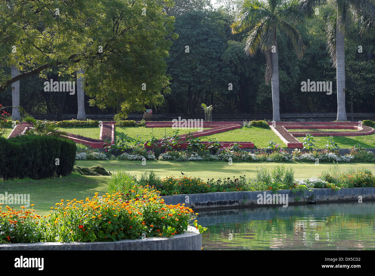 Nationaler Zoologischer Park Delhi, Indien. Ein Blumenbeet. Stockfoto