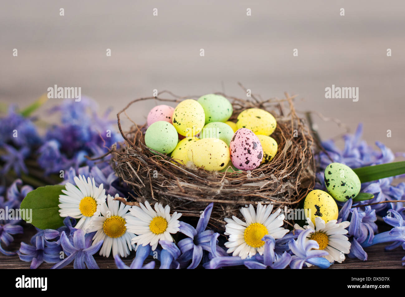 Ostereier in einem Nest unter den Frühlingsblumen Stockfoto