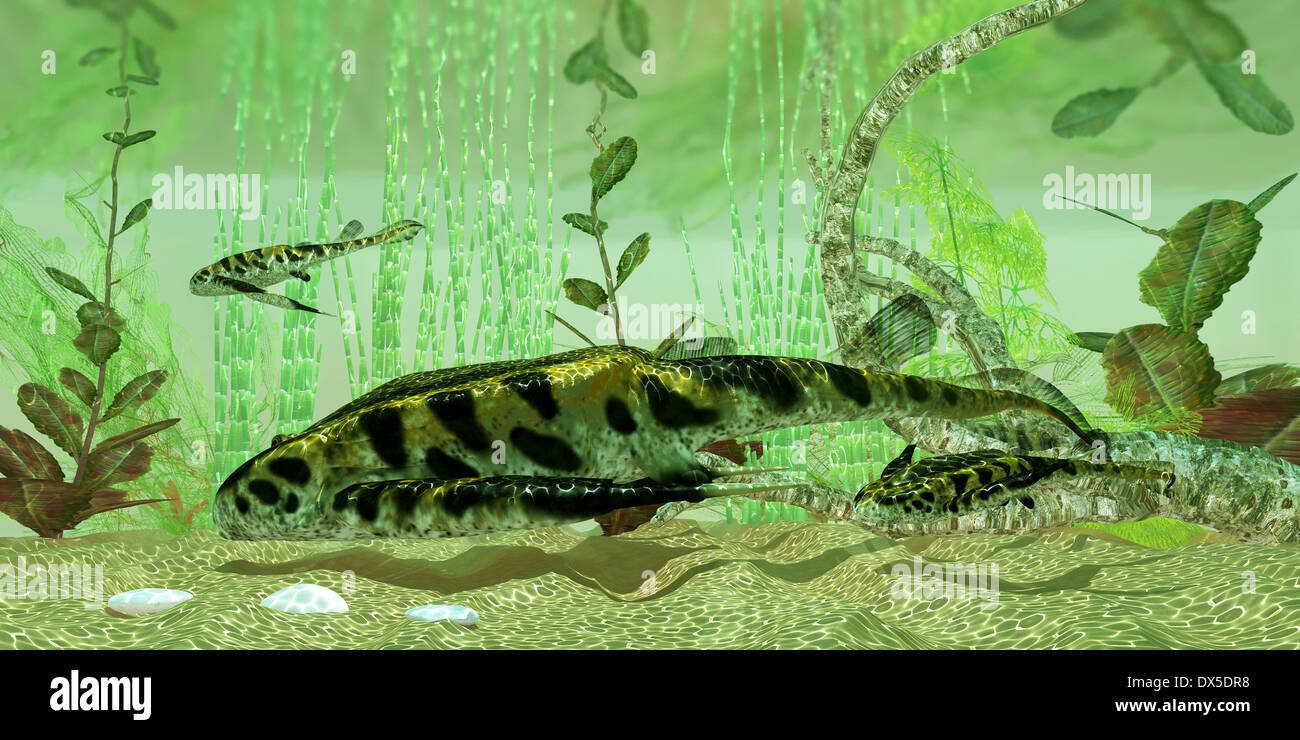 Bothropelpis war ein Süßwasser unten Feeder in Flüssen und Seen in der Devon Periode gefunden. Stockfoto