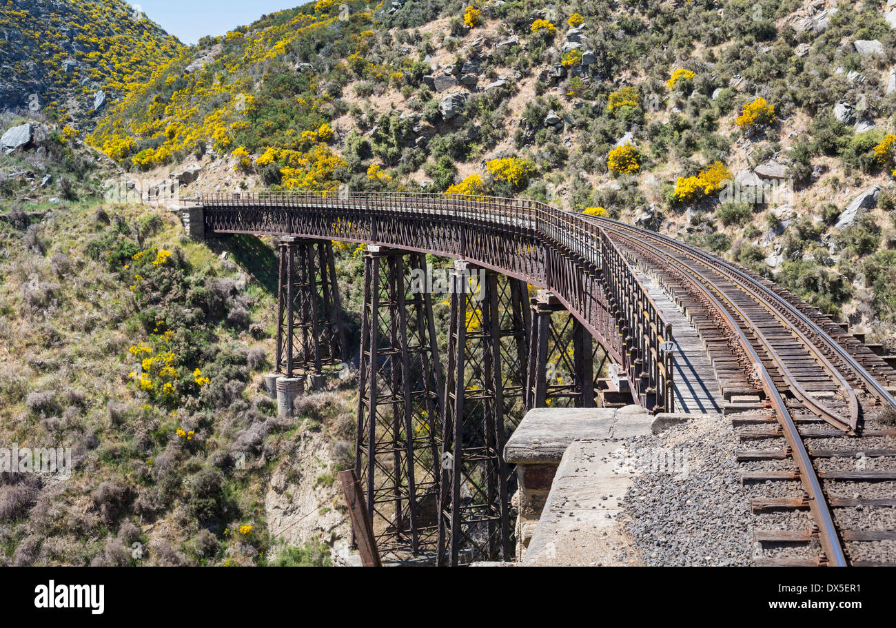 Eisenbahnstrecke der Taieri Gorge Railway, New Zealand überquert eine Brücke über eine Schlucht Stockfoto