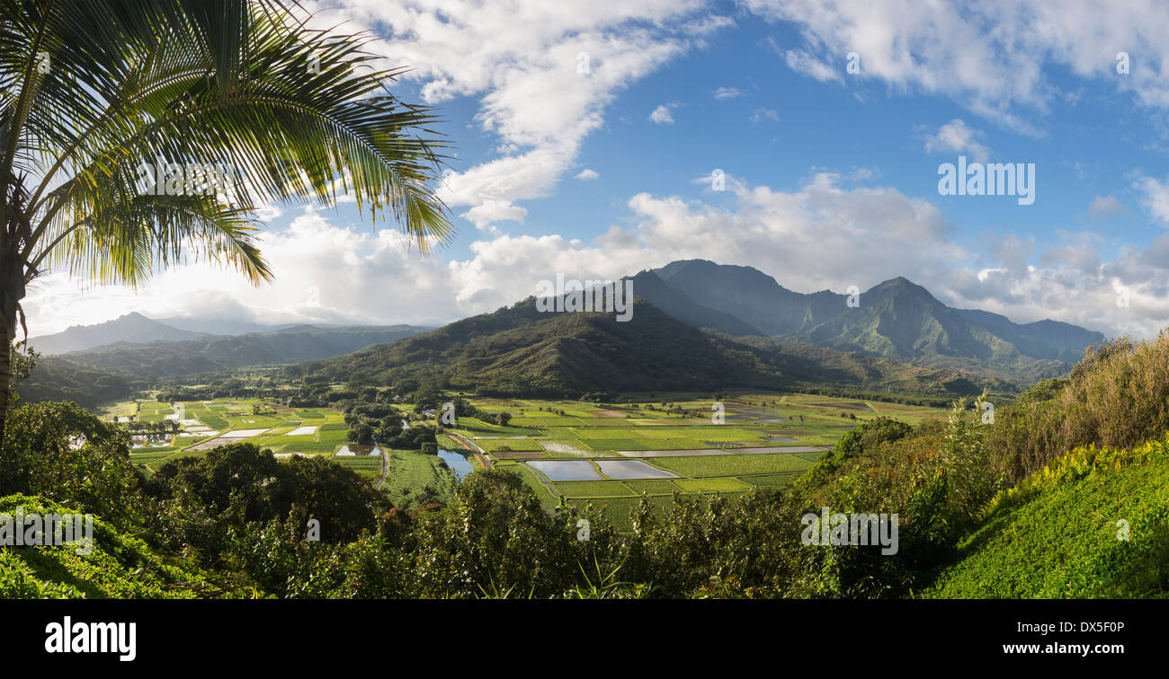 Hanalei Tal von Princeville übersehen in Kauai, Hawaii, USA Stockfoto