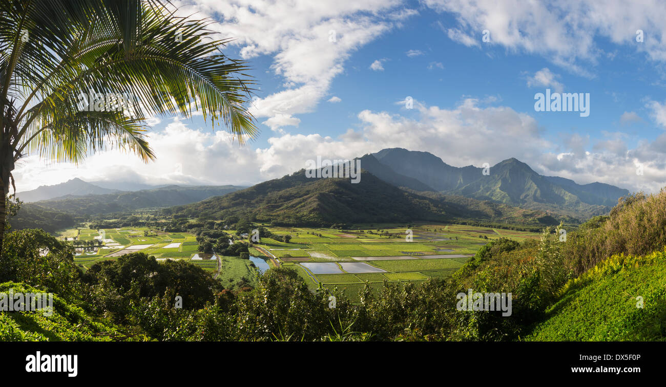 Wunderschöne Landschaft Hawaiis - Hanalei Valley vom Princeville Overlook in Kauai, Hawaii, USA Stockfoto
