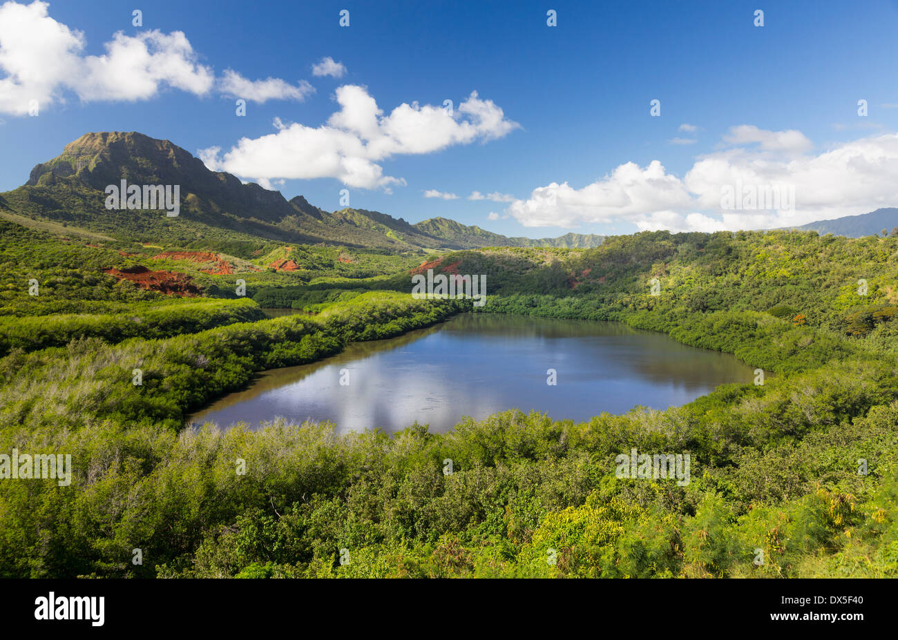 Schöne Landschaft Hawaii mit Fischteich, bekannt als Menehune oder Alekoko in der Nähe von Lihue auf Kauai in Hawaii, USA Stockfoto