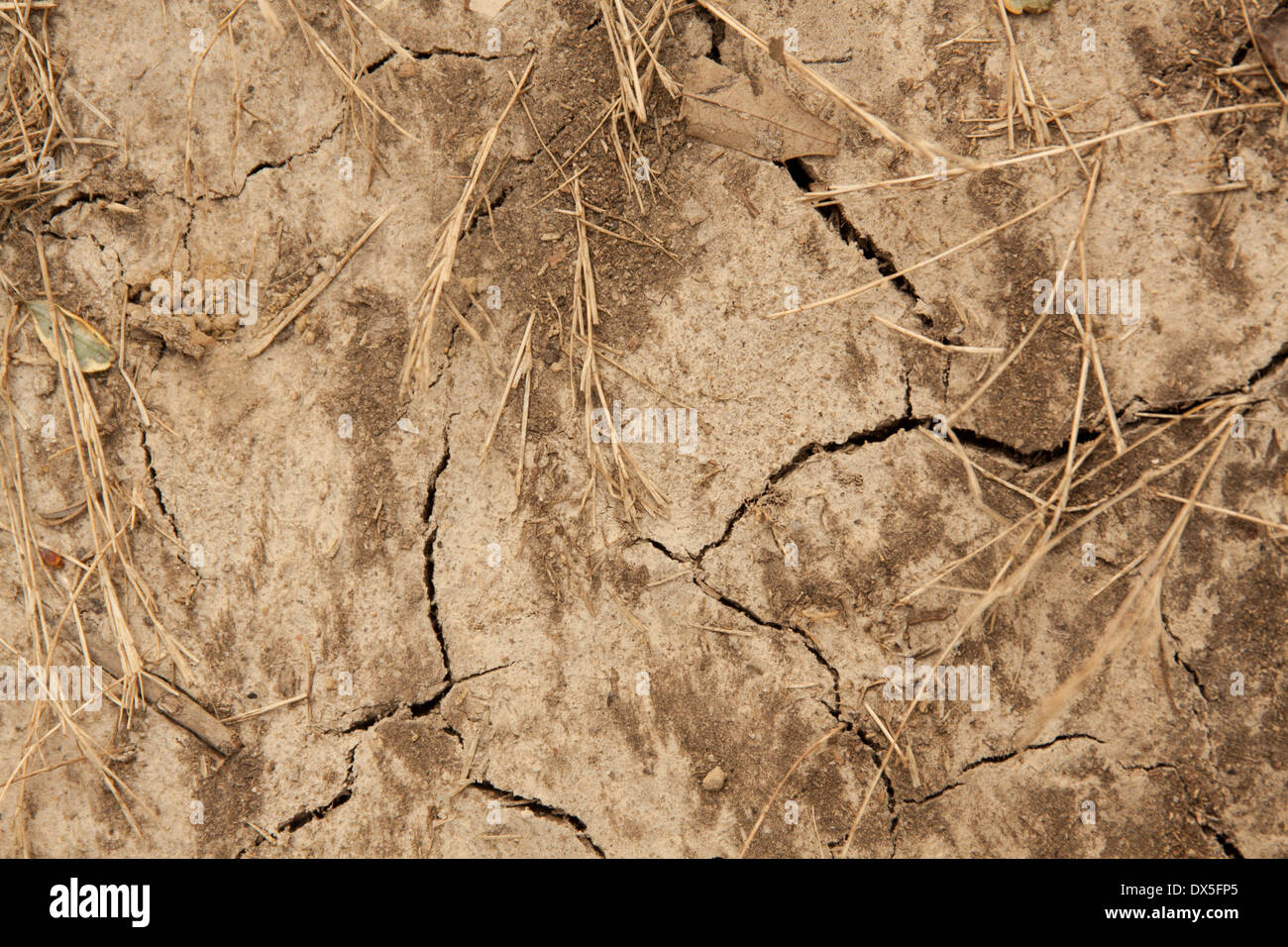 Dürre - horizontale Ausrichtung Stockfoto