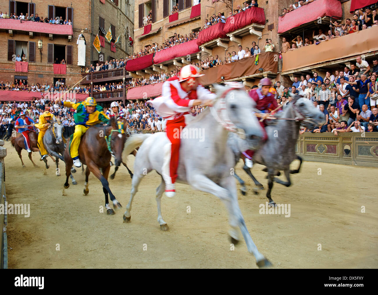 Der Palio Siena 2011 - La Giraffa cresce Stockfoto